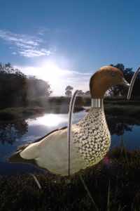duck by pond with barcode
