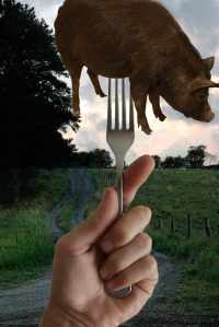 little pig on fork with driveway in bg